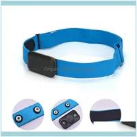 AseSories Equipments suministra deportes al aire libre, ritmo cardíaco Monitor Correa de cofre Bluetooth 4.0 Sensor de fitness Ant Wrist Com297y