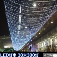 Color waterproof outdoor LED lights string of colored lights flash lamps chandeliers 30M 300LED rope whole245U