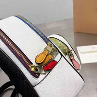 Designer Luxus 7A -Taschen Cochs Geldbeutel Handtasche Crossbody Wallet für Frauen mehrfarbige Mode Lncined Umhängetasche Vielseitige CC Totes großer Kapazität Sattel Y377