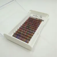 Own Brand Rainbow Colorful Individual Eyelashes Extension Trays Whole Cheap Silk False eyelash Sets Drop 327Y