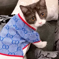 Diseñador Dog Gat Ropa de gato Cute suéter de cachorros