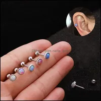 Brincos de lustres de lustres de jóias de joias de jóias cartilagem cartilagem de cristal exoneda de aço inoxidável berbell studs Earri dhybl