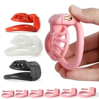 Nova chegada 3D Sun Sun Spider Male Chastity Device Penis Trainer Cock Cage Ring Bdsm Belt Sexy Toys for Men