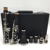 Professional nuovissimo un clarinetto R13 buffet bakelite clarinet bocchino accessori case
