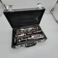 Büfe krampon e13 17 tuşlar marka klarnet yüksek kaliteli bir melodi profesyonel müzik aletleri kasa ağızlık aksesuarları2438