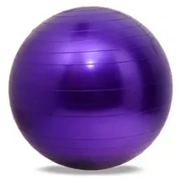 5 colores 65 cm Salud Fitness Ball Ball Balls Pilates Sport Fitball Balls anti-Slip para entrenamiento de fitness11819