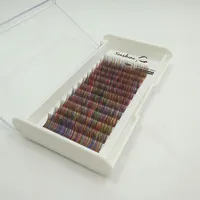 Own Brand Rainbow Colorful Individual Eyelashes Extension Trays Whole Cheap Silk False eyelash Sets Drop 228r