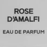 Premierlash rose d'amalfi perfume 100ml 3.4oz hombres mujeres mujeres neutras perfumes fragancia cereza madera tabaco largo tiempo duradera buen olor cologne spray rápido nave