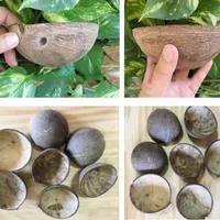 그릇 코코넛 쉘 반 그릇 컵 수제 유기농 100% 친환경 천연 점보 연마 보울 볼