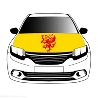 Wales National Team Flags Car Bonnet Banner 3.3x5ft100%Polyester