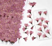 NXY Press On Nail 120pcs 2-3 cm pressad torkad körsbärsblommor Sakura Flower Herbarium för epoxi hartsmycken som gör ansiktsmakeup konst diy
