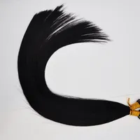 Dubbel ritad fläkt Tips 100% Human Indian Remy Hair 1G/S200S/Lot för Wholesale Ultra Hair Extensions