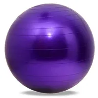 5 Farben 65 cm Gesundheits Yoga Fitness Ball Yoga Balls Pilates Sport Fitball Proof Balls Anti-Rutsch für Fitnesstraining12506