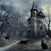 Partyzubehör Halloween Garten Schrecken Katzen Yard Schild Luminöses Eye Black Cat Decoration Gardens Karten