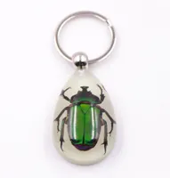 Keychains Luminous Amber Insect Pendant Keychain Genuine Resin Scorpion Crab Spider Specimen Men Key Holders 2022 Wholesale