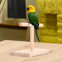 Autres fournitures d'oiseaux portables en bois pour animaux de compagnie Perrot Rotation Plate-forme perchée Plate-forme d'oiseaux