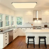 3-farbige dimmbare Flush-Mount-Deckenleuchte-Leuchte-Steuerung 48W 96W 36W 16W quadratische moderne LED-Paneellicht für Schlafzimmer Küche Flur Crestech888