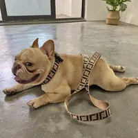 Dog Harness Collars Leashes Sets Fashion Letter Pet Cat Small Medium Large Fighting Schnauzer Bulldog Teddy Leashes