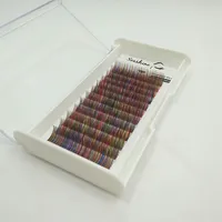 Own Brand Rainbow Colorful Individual Eyelashes Extension Trays Whole Cheap Silk False eyelash Sets Drop 217d