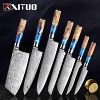 Xituo Kitchen Knives-Set Darmascus Steel Chef Cnife Cleaver Fettive Fettive Forming Tool Bread Cooking Tool Blue Resin