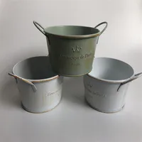 10Pcs lot D12XH6 Vintage Nostalgia Tin Planter Galvanized Buckets Wedding Succulents Pot Romancique de Paris Since 1898 T200529248L