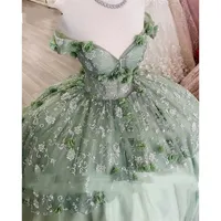 2022 Mint Green Quinceanera Dresses Embroidery healferies Lace-Up Corset Ball Princess Sweet 16 15 Year Girl Vestidos de 15 Anos XV