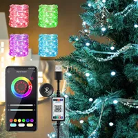 سلاسل LED سلسلة أضواء خصي للضوء الشريط عن بعد مع USB يعمل في الهواء الطلق لعيد الميلاد شجرة حديقة حفل الزفاف