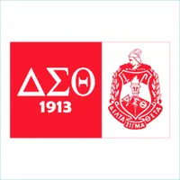 Custom Digital Print 3x5 Feet   90x150cm Flag for We the Greek Phi Delta Sigma Theta Licensed Officially Traditional Fraternity Banner for Decoration