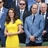 Kate Middleton Princess Yellow Solid Dress Elegant Women Butterfly Sleeve Dresses