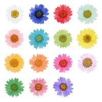 Decorative Flowers & Wreaths 12pcs Dried Head Pressed Daisy Plants For Epoxy Resin Pendant Necklace Jewelry Making Craft DIY Nail Art Access