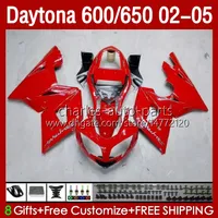 Kit bodywork per Daytona 600 650 cc Daytona650 02-05 Cowling 104HC.23 Glossy Silvery Daytona600 2002 2003 2004 2005 Bodys Daytona 600 02 03 04 05 Full Fairings