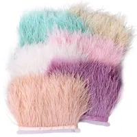 Multicolor Real Ostrich feather Trims Ribbon about 8-10cm White Ostrich for Dress Clothing Decoration Sewing feathers Crafts 5551 Q2