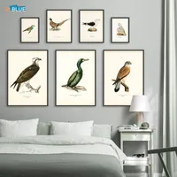 Gemälde Retro Vögel Poster und Druck Wirbeltier Leinwand Malerei Kormoran Vogel Wandbild Realismus Kunst Wandbild Wohnkultur Für Wohnzimmer