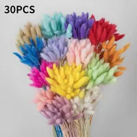 Decorative Flowers & Wreaths 30PCS Natural Dried Flower Tail Pampas Grass Long Bunch Real Bouquet Colorful For Decoration Diy Home Wed