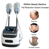 Profissional Emslim Body Slimming Machine EMS Muscle Stimulator Alta intensidade Aumento de alta intensidade Remoção de gordura muscular 2 anos de garantia