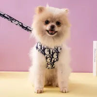 Collares de perros Correo Popular Popular de letra de perro Set adecuado para mascotas pequeñas y medianas con perros Suministros de mascotas