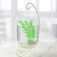 15cm Suspended Transparent Hanging Glass Fish Tank Infusion Bottle Aquarium Flower Plant Vase For Home Decoration Aquariums281w