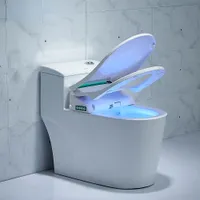 Seat de banheiro inteligente tampa de bidê elétrica alongada LCD 3 Color Smart Bidet Aquecimento Sitts LED Light WC F3-1