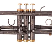 Yeni Satış Profesyonel TR210S BB Trompet Siyah Nikel Altın Kaplama Sarı Pirinç Aletler BB Trumpete Popüler Müzikal Gümüş