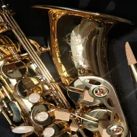 Hochwertige Super -Action 80 -Serie -II -Saxophon Gold Alto Full Flower Eb Melune 802 Modell E flaches Sax