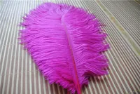 Venta al por mayor 100 unids caliente fucsia pluma de avestruz rosa de plumas para el centro de la boda decoración de La Boda FIESTA Decoración fuente decoración atractiva
