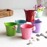 6pcs/lot modern pastoral mini metal bucket mix color flower pot windowsill desktop usage garden flowerpot plant pots vaso jardim