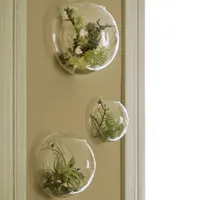 3pcs / ensemble mur de bulles de verre de mur de terrariums de bulles de verre pour les fleurs / plantes d'intérieur planteur fixé au mur pour les plantes succulentes Air titulaires de la décoration intérieure