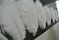 Partihandel 50st White Ostrich Feather Plumes för bröllopscentral Bröllopsfest dekor Party Event Decor Supply
