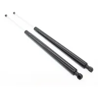(2) Auto Rear Hatch Boot Gas Struts Spring Charged Lift Support For 2004 2005 2006 2007 Toyota Prius