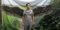 Costumées grandes ailes de plumes grises Devil Angel pour la mode spectacle performance scénique props tir de mariage expédition EMS gratuit