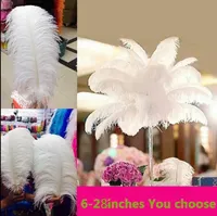 al por mayor 50 unids lote 6-26 pulgadas avestruz pluma pluma blanco, centros de boda mesa de centro de mesa decoración decoración del evento