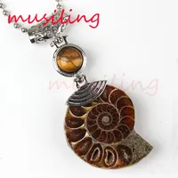 Yarım Ammonite Kabuklu Fosil Kolye Kolye Mücevher Taş Boncuk Kolye Sarkaç Takı Charms Reiki Şifa Muska Moda Mens Takı