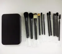Maquiagem quente conjunto profissional preto pincéis de maquiagem conjunto 12pcs com caixa de ferro