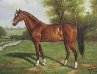 High Quality Handpainted Classic Art oil Painting On Canvas Museum Quality ,Horse ,In Multi Size chosen